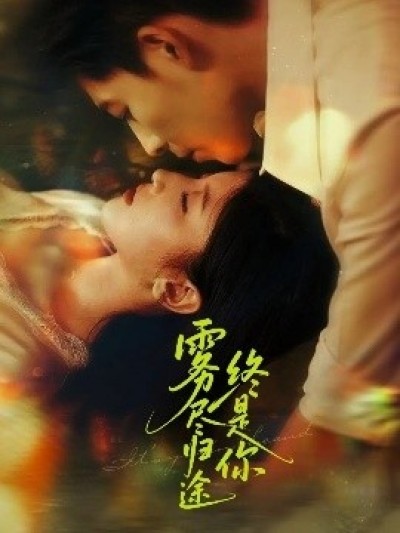 《雾尽归途终是你》免费在线观看短剧高清全集完整版