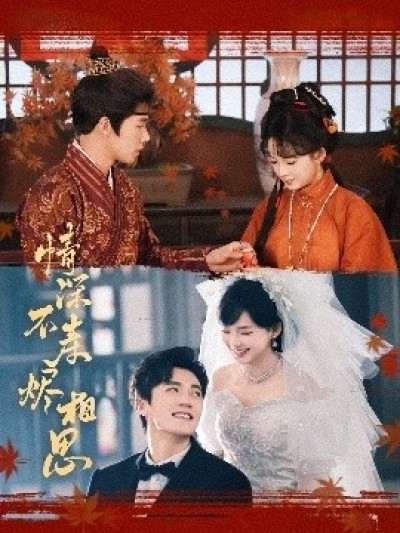 《情深不寿烬相思》免费在线观看短剧高清全集完整版