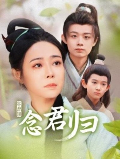《念君归》短剧高清全集免费在线观看播放完整版