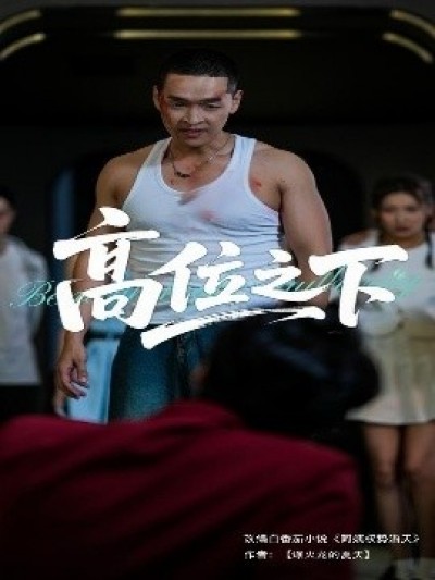 《高位之下》免费在线观看短剧高清全集完整版
