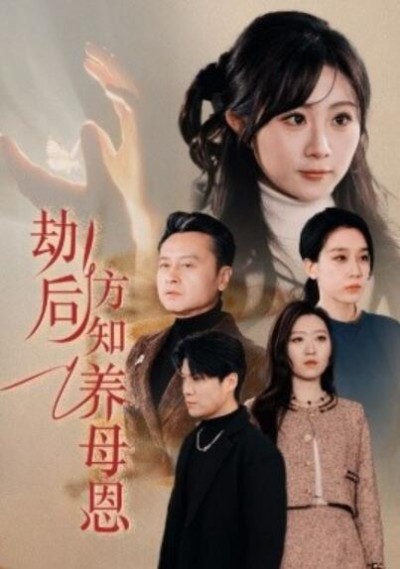 《劫后方知养母恩》短剧高清全集免费在线观看播放完整版