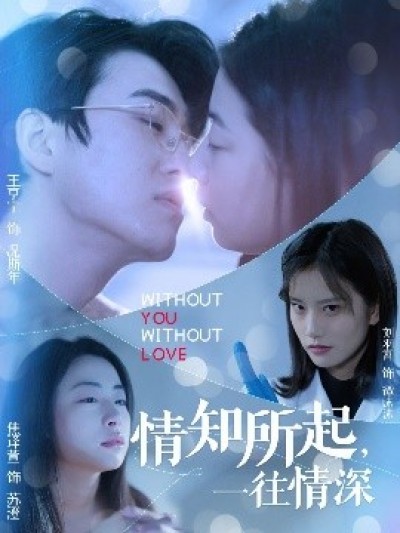 《情知所起，一往情深》免费在线观看短剧高清全集完整版
