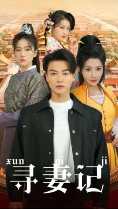 《寻妻记》短剧高清全集免费在线观看