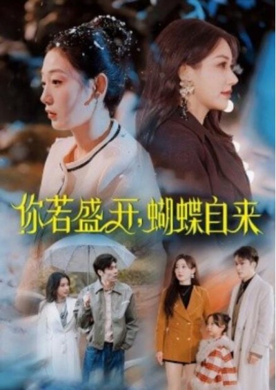 《你若盛开，蝴蝶自来》免费在线观看短剧高清全集完整版