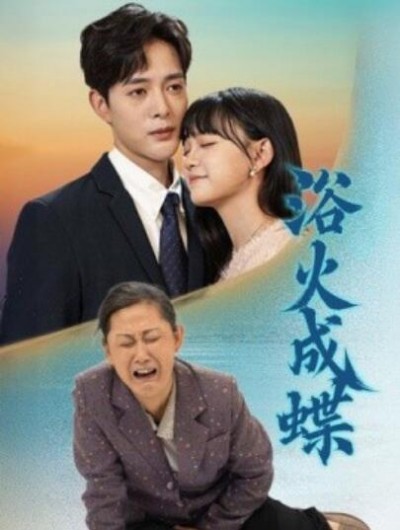 《浴火成蝶》免费在线观看短剧高清全集完整版