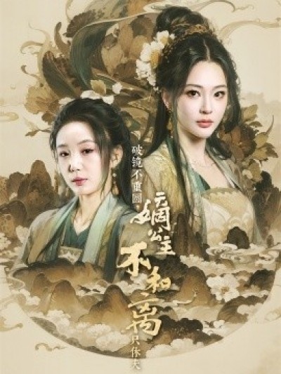 《破镜不重圆，嫡公主不和离只休夫》免费在线观看短剧高清全集完整版