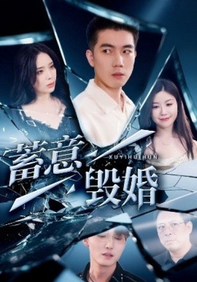 《蓄意毁婚》免费在线观看短剧高清全集完整版