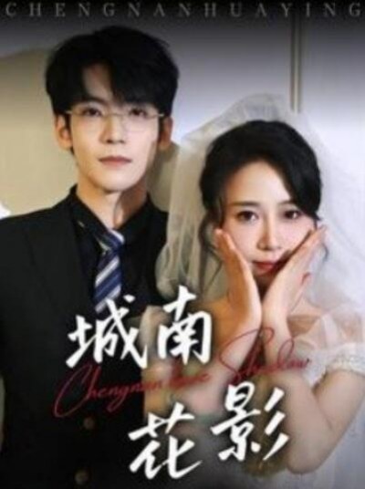 《城南花影》短剧高清全集免费在线观看播放完整版