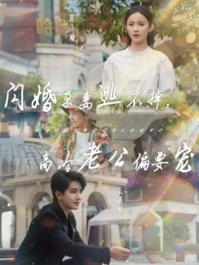《闪婚孕妻逃不掉，高冷老公偏要宠》免费在线观看短剧高清全集完整版