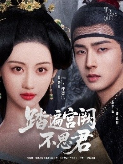 《踏遍宫阙不思君》免费在线观看短剧高清全集完整版