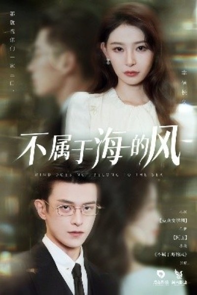 《不属于海的风》免费在线观看短剧高清全集完整版