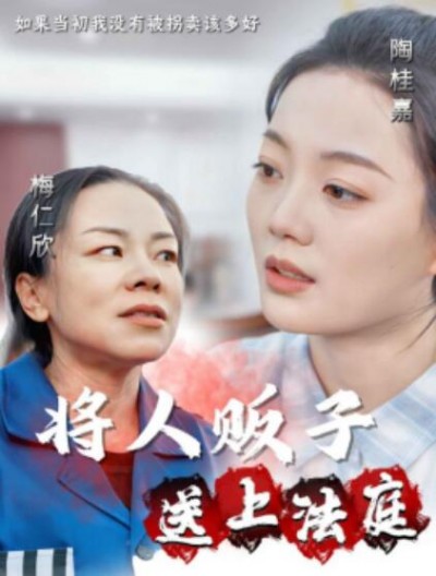 《将人贩子送上法庭》短剧高清全集免费在线观看