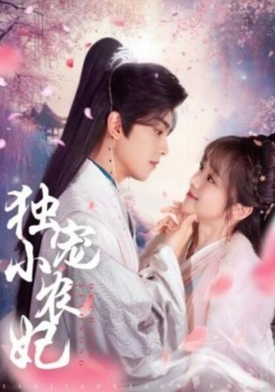 《独宠小农妃》短剧高清全集免费在线观看播放完整版