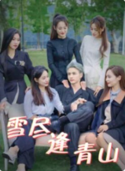 《雪尽逢青山》免费在线观看短剧高清全集完整版