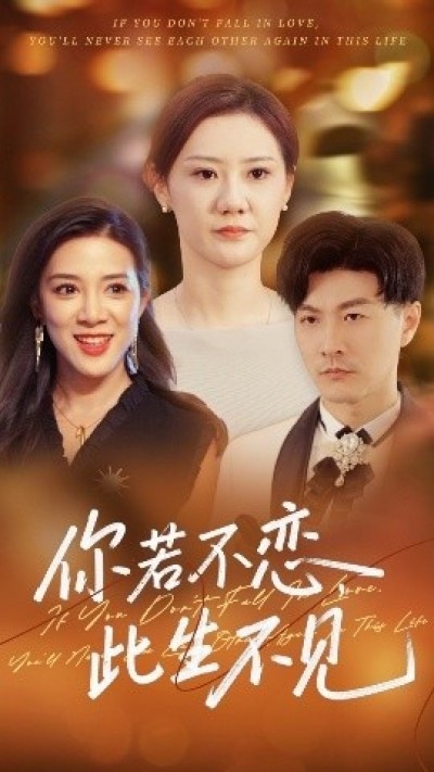 《你若不恋此生不见》免费在线观看短剧高清全集完整版
