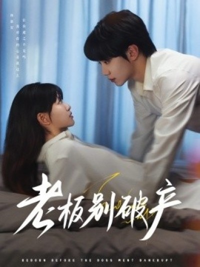 《老板别破产》免费在线观看短剧高清全集完整版