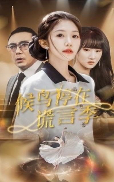 《候鸟停在谎言季》免费在线观看短剧高清全集完整版