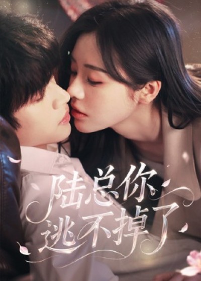 《陆总你逃不掉了》免费在线观看短剧高清全集完整版