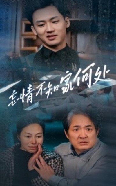 《忘情不知家何处》短剧高清全集免费在线观看