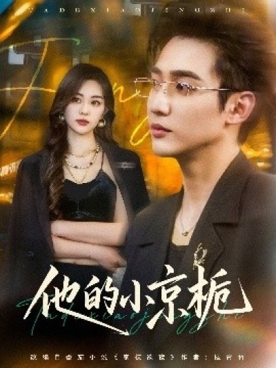《他的小京栀》免费在线观看短剧高清全集完整版