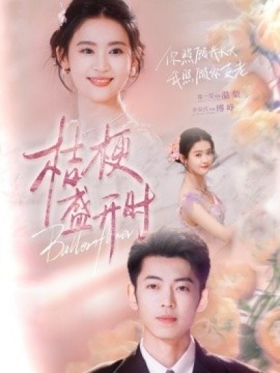 《桔梗盛开时》免费在线观看短剧高清全集完整版