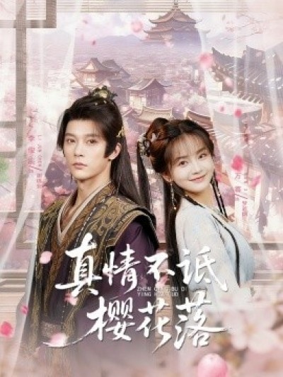 《真情不诋樱花落》免费在线观看短剧高清全集完整版