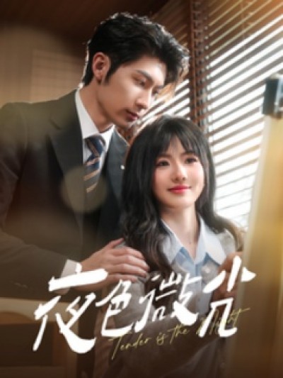 《夜色微光》免费在线观看短剧高清全集完整版