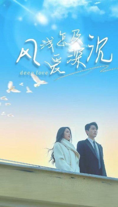 《风浅怎及爱深沉》短剧高清全集免费在线观看播放完整版