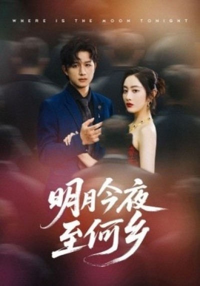 《明月今夜至何乡》免费在线观看短剧高清全集完整版