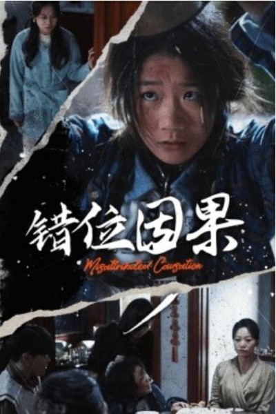 《错位因果》短剧高清全集免费在线观看