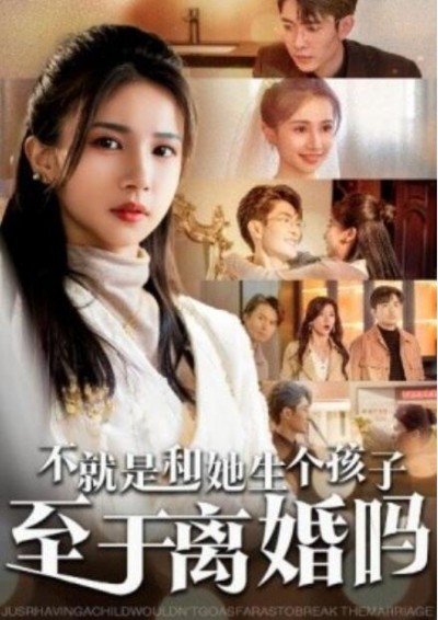 《不就是和她生个孩子至于离婚吗》短剧高清全集免费在线观看