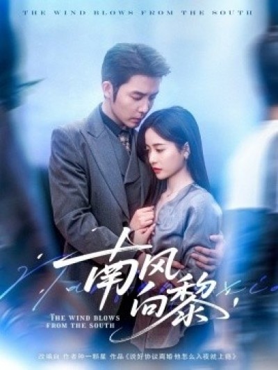 《南风向黎》免费在线观看短剧高清全集完整版