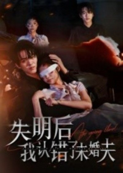 《失明后我认错了未婚夫》免费在线观看短剧高清全集完整版