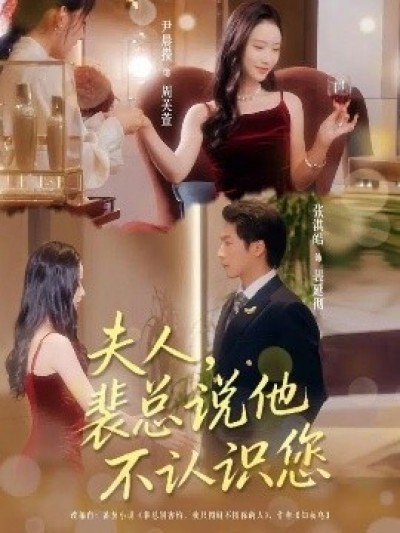 《夫人，裴总说他不认识您》免费在线观看短剧高清全集完整版