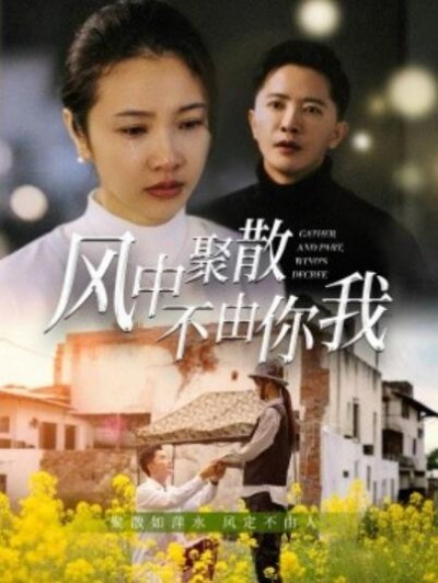 《风中聚散不由你我》免费在线观看短剧高清全集完整版