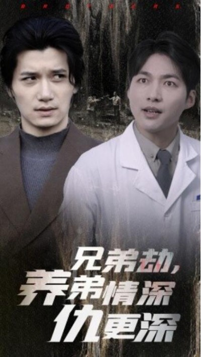 《兄弟劫，养弟情深仇更深》短剧高清全集免费在线观看播放完整版