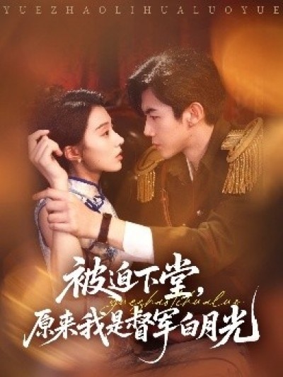 《被迫下堂，原来我是督军白月光》免费在线观看短剧高清全集完整版