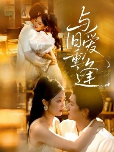 《与旧爱重逢》免费在线观看短剧高清全集完整版