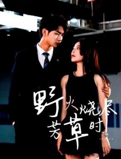 《野火烧尽芳草时》免费在线观看短剧高清全集完整版