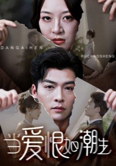 《当爱恨如潮生》免费在线观看短剧高清全集完整版