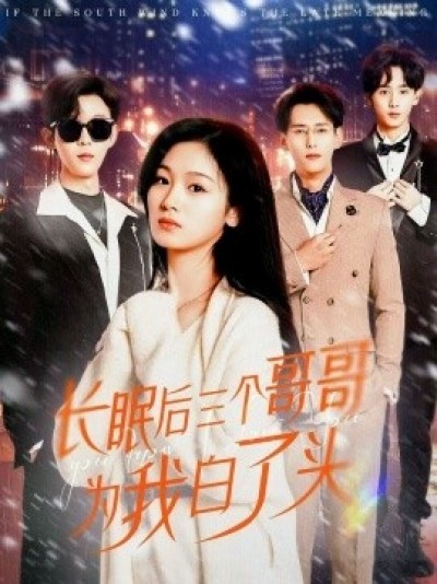《长眠后三个哥哥为我白了头》免费在线观看短剧高清全集完整版