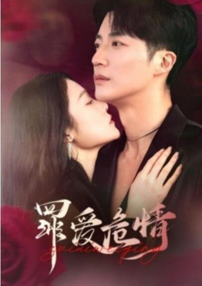 《罪爱危情》免费在线观看短剧高清全集完整版