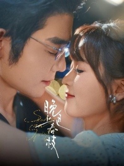《晚色上春枝》免费在线观看短剧高清全集完整版