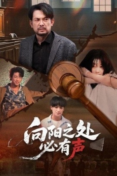《向阳之处必有声》免费在线观看短剧高清全集完整版