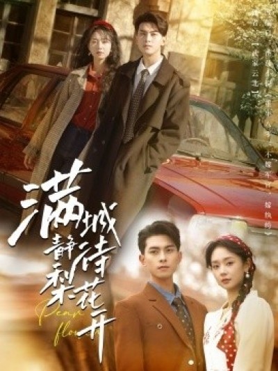 《满城静待梨花开》免费在线观看短剧高清全集完整版