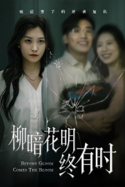 《柳暗花明终有时》免费在线观看短剧高清全集完整版