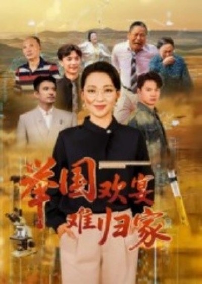 《举国欢宴难归家》免费在线观看短剧高清全集完整版