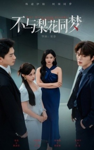 《不与梨花同梦》免费在线观看短剧高清全集完整版