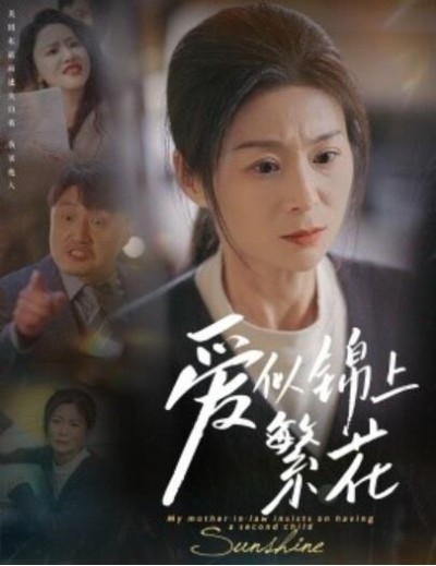 《爱似锦上繁花》免费在线观看短剧高清全集完整版