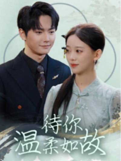 《待你温柔如故》短剧高清全集免费在线观看播放完整版